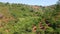 Aerial shot of coffee plantations on hillsides in mountains