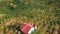 Aerial shot of coffee plantations on hillsides in mountains