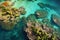 aerial shot of coral reefs near white sandy beaches