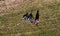 Aerial shot with drone of female cyclist with bike on meadow with light and shadow