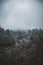 Aerial shot of the evergreen pine trees under a gloomy cloudy sky