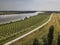 Aerial shot of a field with rows of trees  near a river