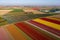 Aerial shot of a field of tulip flowers and solar panels at daytime