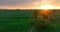 Aerial Shot of Fields During Sunset