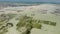 Aerial shot Flying by African Kids Collecting Underwater seagrass at Sea weed plantation in Jambiani, Zanzibar, Tanzania