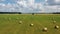 Aerial shot flying around hay rolls in green meadow. Cloudy sky background