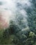 Aerial shot of foggy forests