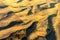 Aerial shot of golden wheat fields in the rolling hills of the Palouse region in Washington State