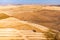 Aerial shot of golden wheat fields in the rolling hills of the Palouse region in Washington State