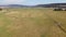 Aerial shot of the grazing cattle in Oregon high desert