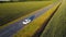 Aerial shot of green countryside and white car driving through. Drone follows vehicle driving though green nature