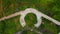 Aerial shot. Green grass with roads shaped like eyes