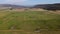 Aerial shot of green pasture with black grazing cattle in Oregon high desert