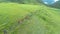 Aerial shot of a group of athletes running in the bush in the hills