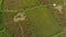 Aerial shot of a group of farmers that are moving along a path in the middle of a big rice field. Rice crops concept