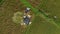 Aerial shot of a group of farmers that are preparing to gather crops in the middle of a big rice field. Rice crops