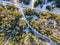 Aerial shot of an idyllic Allgaeu winter landscape with snow-covered trees, and rolling hills