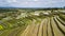 Aerial shot of Jatiluwih terraces ricefield