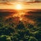 aerial shot of the lush green amazon rainforest at sunrise