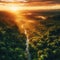 aerial shot of the lush green amazon rainforest at sunrise