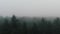 Aerial shot of misty forest. morning fog in the woods