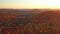 Aerial shot moving slowly forward and turning right revealing the colorful mountains of Mont-Loup-Garou park while the sun is