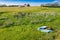 Aerial shot of an old abandoned wooden homestead and a car in the field in Glenside Canada