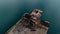 Aerial shot of an old rusty pier in turquoise dark ocean. Shot. Flying above old abandoned pier on a summer sunny day.