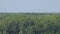 Aerial shot panning across a river flowing through mangroves forest in Malaysia