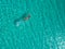 Aerial shot of a person swimming in the sea at daytime