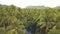 Aerial shot of picturesque natural scenery, river, palm trees and mountains.