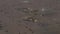 Aerial shot of recreational desert camps in the evening, United Arab Emirates UAE