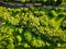 Aerial shot of a river with long cargo ships with a grassland full of green trees on the side