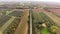 Aerial shot, a road between two cypress raws, in the middle of cultivated fields in Tuscany, Italy, shot with drone