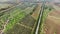 Aerial shot, a road between two cypress raws, in the middle of cultivated fields in Tuscany, Italy, shot with drone