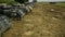 Aerial shot of row of tanks parked in a field