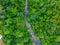 An aerial shot of the running waters of Big Creek River surrounded by miles of lush green trees and plant with rocks on the banks