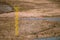 Aerial shot of a runway stop sign in an abandoned field