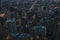 Aerial shot of skyscrapers in the city of Chicago during nighttime