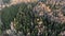 Aerial shot of spring forest landscape. Trees without leaves.