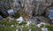 Aerial shot of st govan\'s chapel (tiny church) built on the cliff