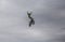 Aerial shot of stunt rider standing up  in mid-air on his stunt bike against an overcast sky