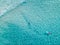 Aerial shot of swimmers on a beautiful beach with blue water and white sand - deep water