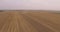 Aerial shot. Three Combines Harvest Leaving One by One 4k UHD