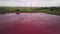 Aerial shot of toxic pink lake at nature, industrial zone with pollution