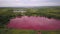 Aerial shot on unusual pink lake in industrial zone, colored water by