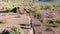 Aerial Shot of Walkers in Southwestern Desert