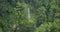 Aerial shot of waterfall in tropics