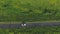 Aerial shot of white convertible car riding through empty rural road. Four young unrecognizable women travelling at