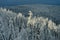 Aerial shot of a winter forest with fir trees fully covered with snow